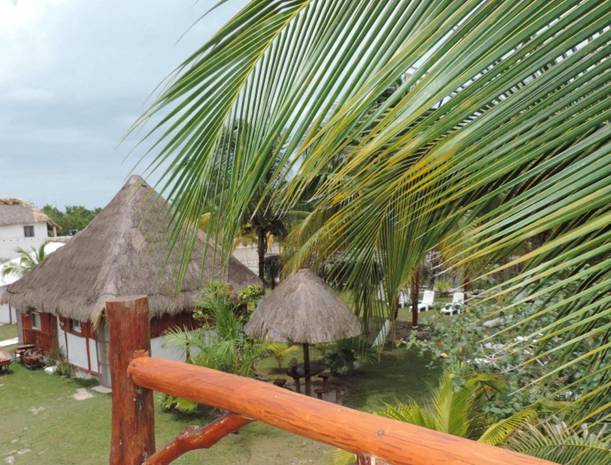 Golden Paradise Albergue Ilha Holbox