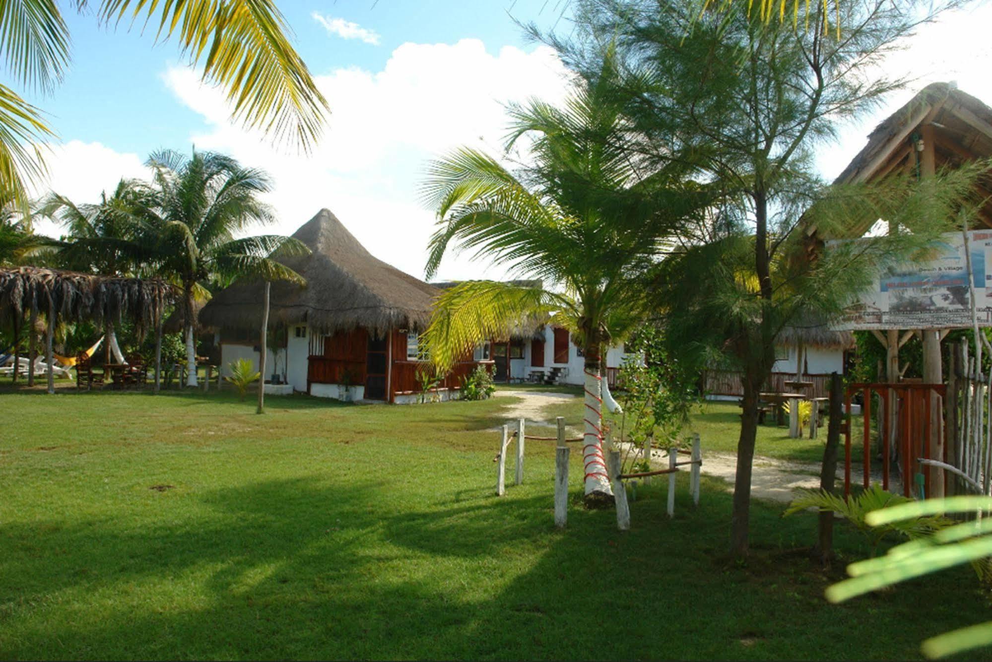 Golden Paradise Albergue